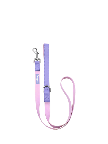 florence by mills Colour Block Dog Lead, Pink/Purple, Pink/Purple