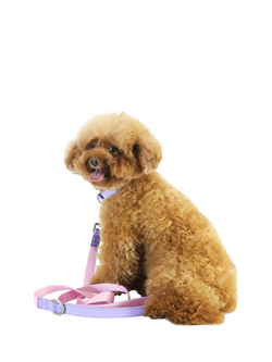 florence by mills Colour Block Dog Lead, Pink/Purple - view 2, Pink/Purple