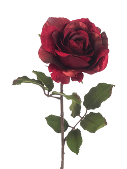 Floralsilk Artificial Luxe Rose Stem, 60cm, Multi