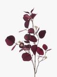 Floralsilk Artificial Luxe Eucalyptus Spray, 81cm