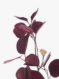 Floralsilk Artificial Luxe Eucalyptus Spray, 81cm