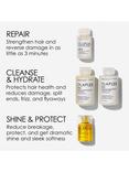 Olaplex In Good Repair Hair Kit