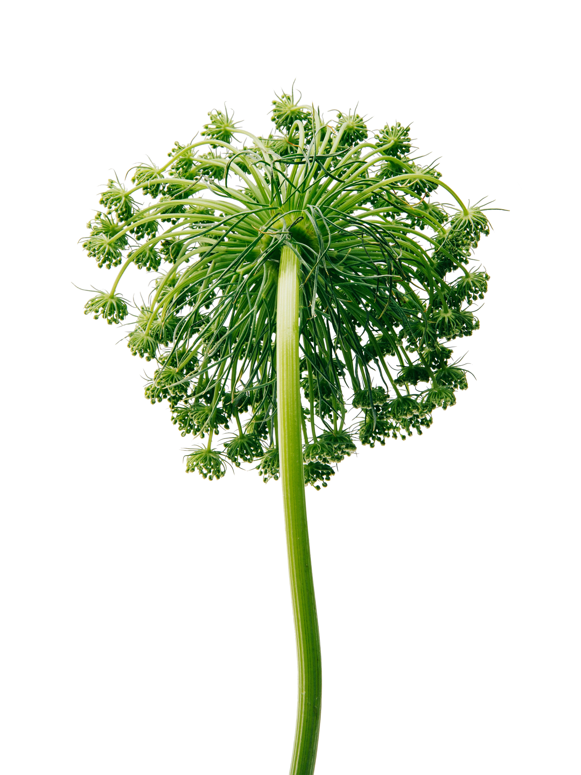 Product image 3 of 5, which shows LOEWE Aire Eau de Toilette, 100ml