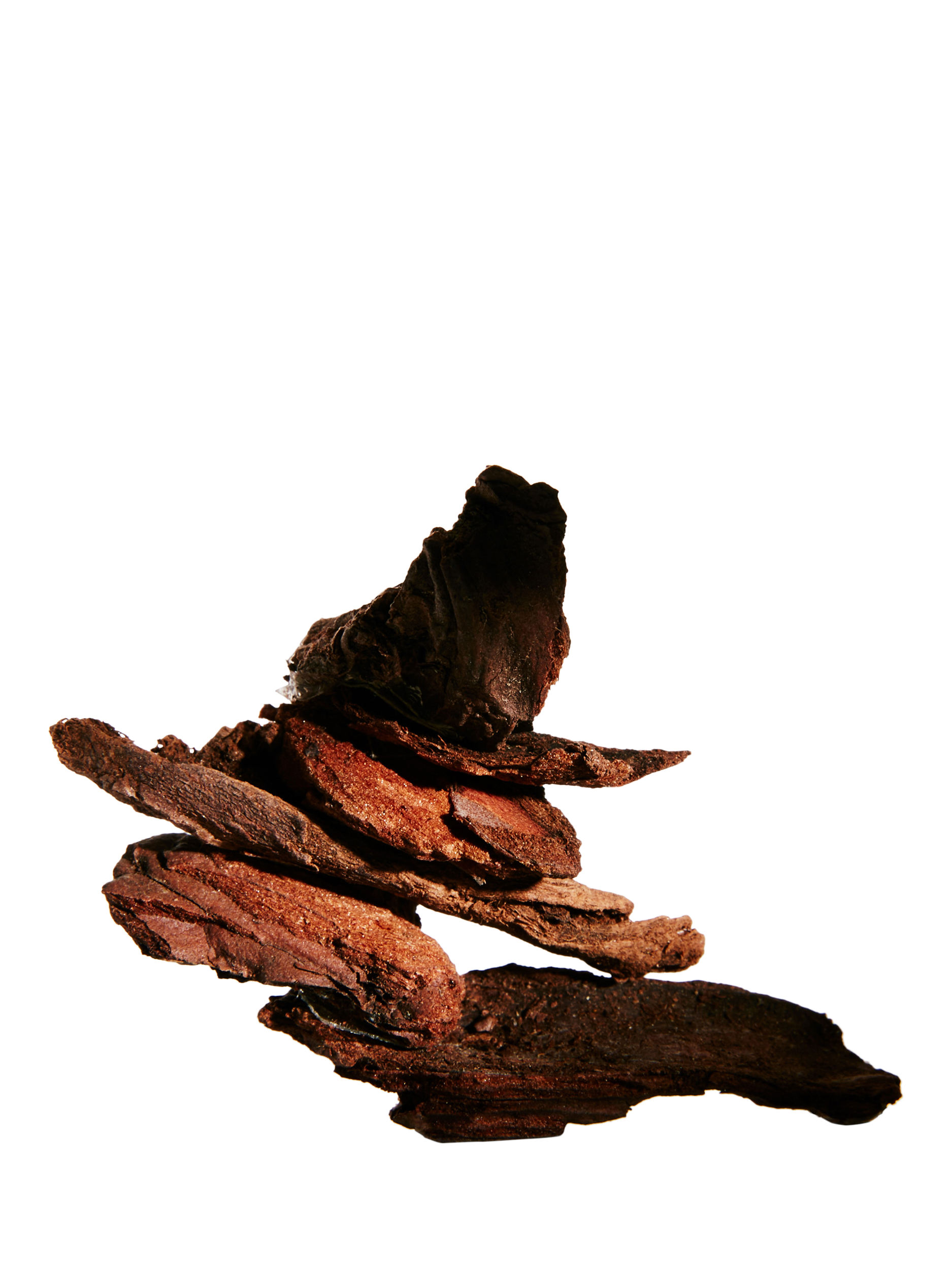 Product image 3 of 5, which shows LOEWE Un Paseo Por Madrid Debod Eau de Parfum, 100ml