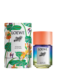 LOEWE Paula's Ibiza Eclectic Eau de Toilette