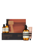 Aesop Hand and Home Screen 1 Bodycare Gift Set