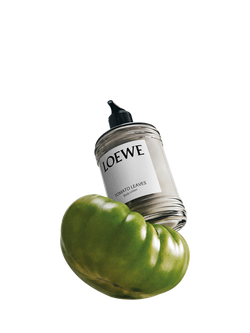 LOEWE Tomato Leaves Body Lotion, 360ml - view 2, 