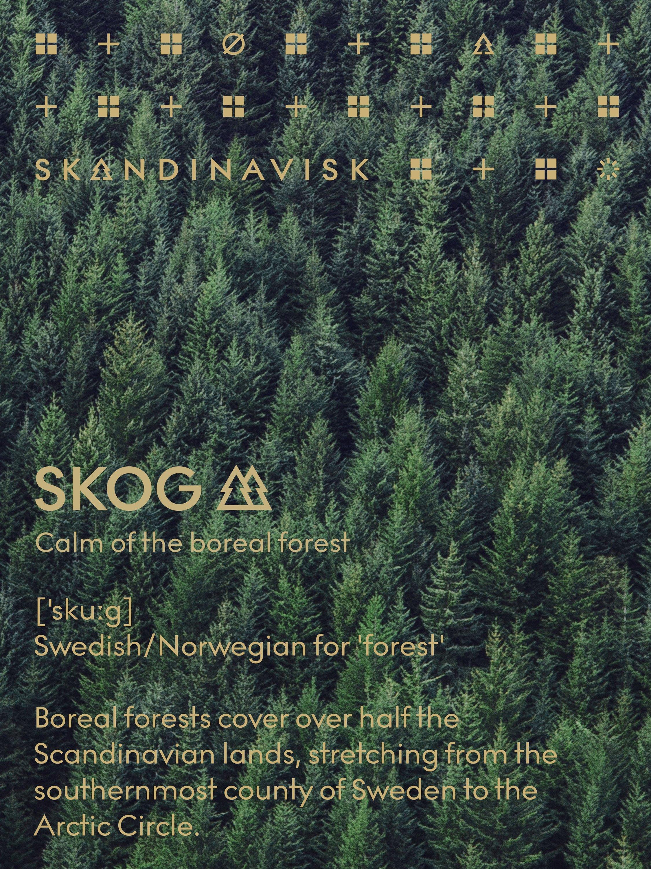 Product image 5 of 5, which shows SKANDINAVISK Skog Scented Candle & Hand Cream Gift Set