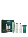 Aveda Exfoliate & Repair Hero Haircare Gift Set