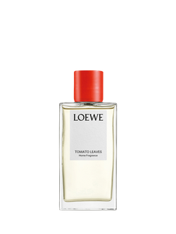 LOEWE Tomato Leaves Home Fragrance, 150ml, 