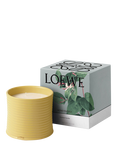 LOEWE Honeysuckle Scented Candle