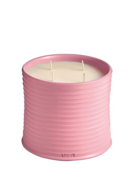 LOEWE Ivy Scented Candle, 
