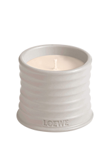 LOEWE Dendrochilum Orchid Small Scented Candle, 170g