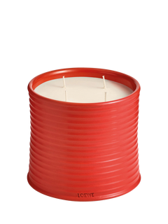 LOEWE Tomato Leaves Large Scented Candle, 2210g