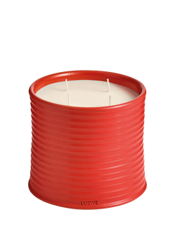 LOEWE Tomato Leaves Scented Candle, 