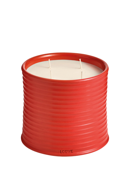 LOEWE Tomato Leaves Scented Candle, 