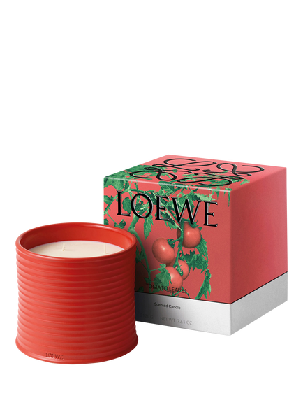 LOEWE Tomato Leaves Scented Candle - view 2, 