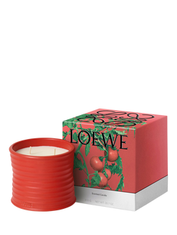 LOEWE Tomato Leaves Scented Candle - view 2, 
