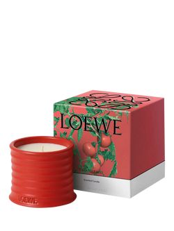 LOEWE Tomato Leaves Scented Candle - view 2, 
