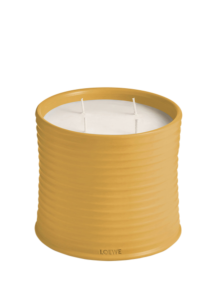 LOEWE Wasabi Scented Candle, 