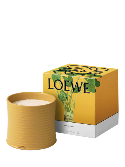 LOEWE Wasabi Scented Candle - view 2, 
