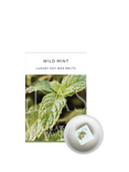 Glass & Wick Wild Mint Wax Melts, Pack of 6