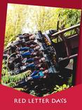 Red Letter Days Merlin Theme Park Tickets for 2 Gift Experience