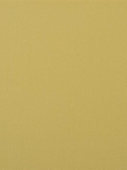 Designers Guild Perledo Furnishing Fabric, Acacia
