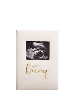 Pearhead Pregnancy Journal