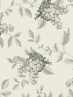 Laura Ashley Portland Wallpaper, Fern 127393, Fern