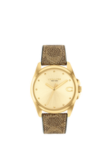Gold Straps
