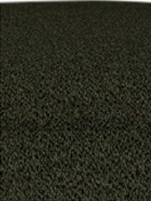 Boucle Everest Fern