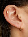 Tish Lyon Amphitrite 14ct Gold Opal Marquise Flatback Stud Earring, Single