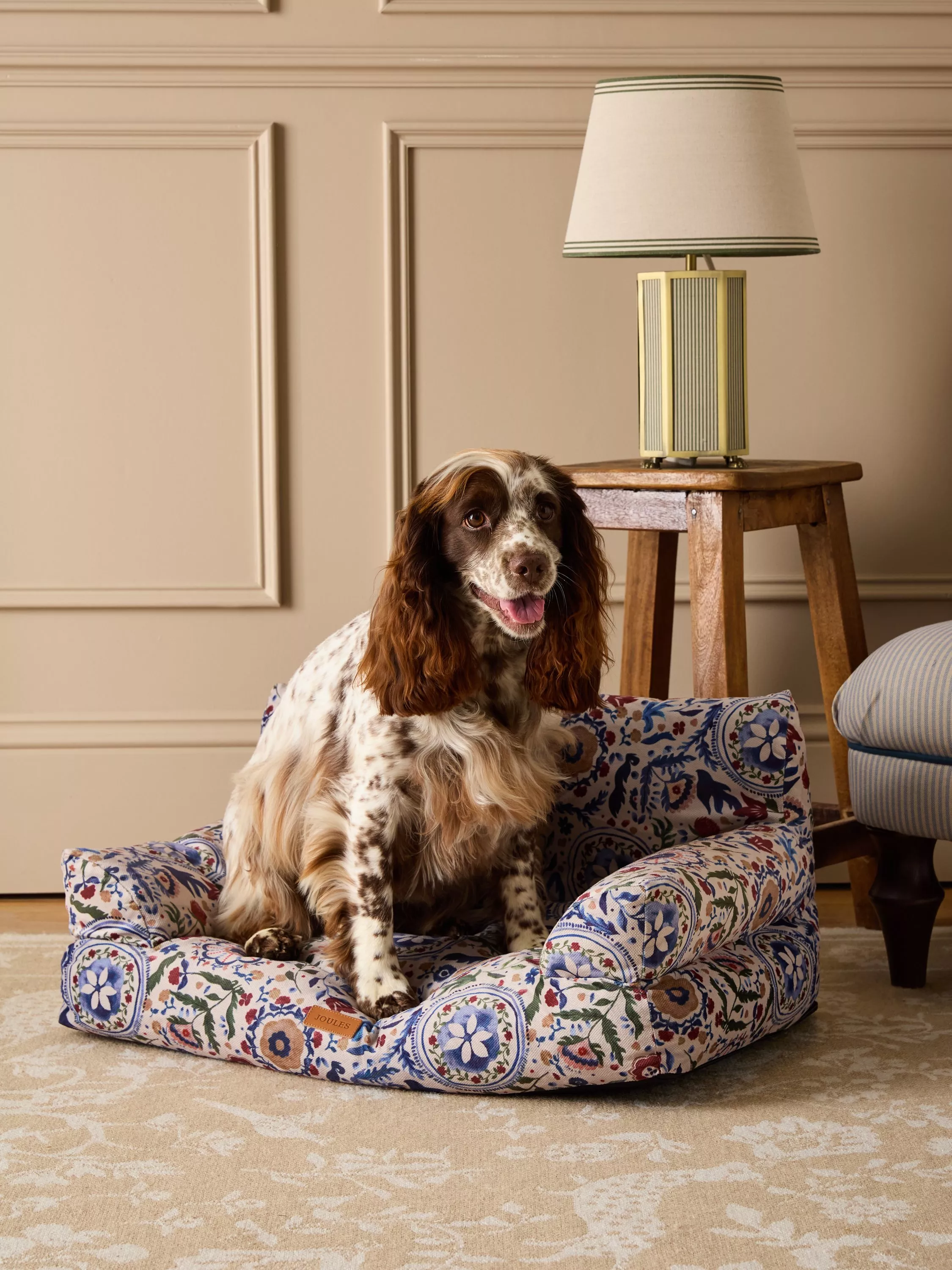 Brown and white spaniel sitting on a floral dog bed in a classic living room beside a wooden side table and lamp