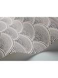 Cole & Son Feather Fan Wallpaper