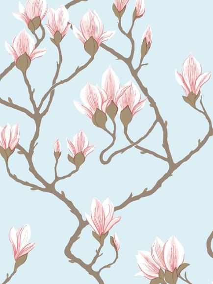 Cole & Son Magnolia Wallpaper, Rose On Sky Blue