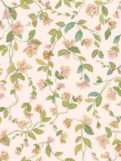 Cole & Son Flora Wallpaper, Tangerine, Blush