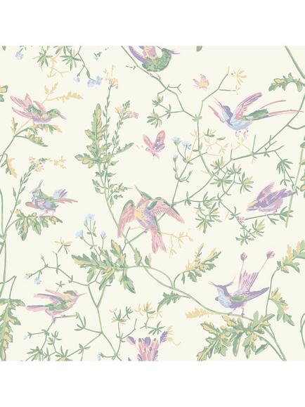 Cole & Son Hummingbirds Wallpaper, Blush/Sage/Mulberry  124/1001