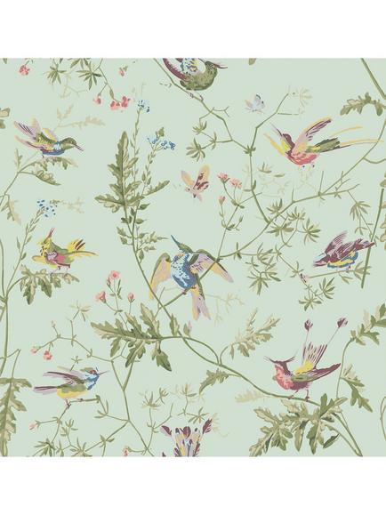 Cole & Son Hummingbirds Wallpaper, Multi, Olive Duck