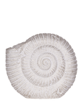 Laura Ashley Conch Shell Ornament, H12cm, White