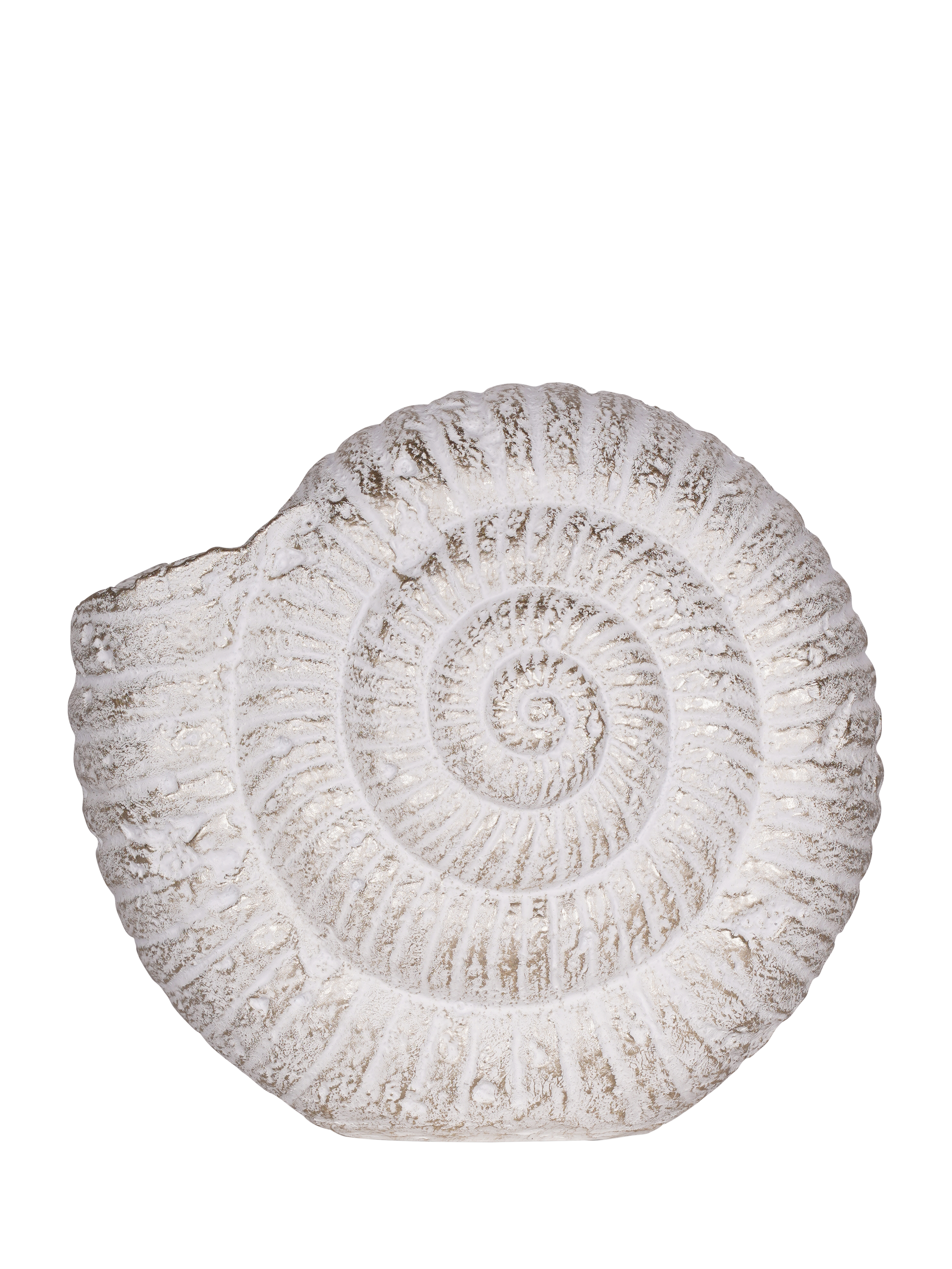 Laura Ashley Small Conch Shell Ornament, H9cm, White