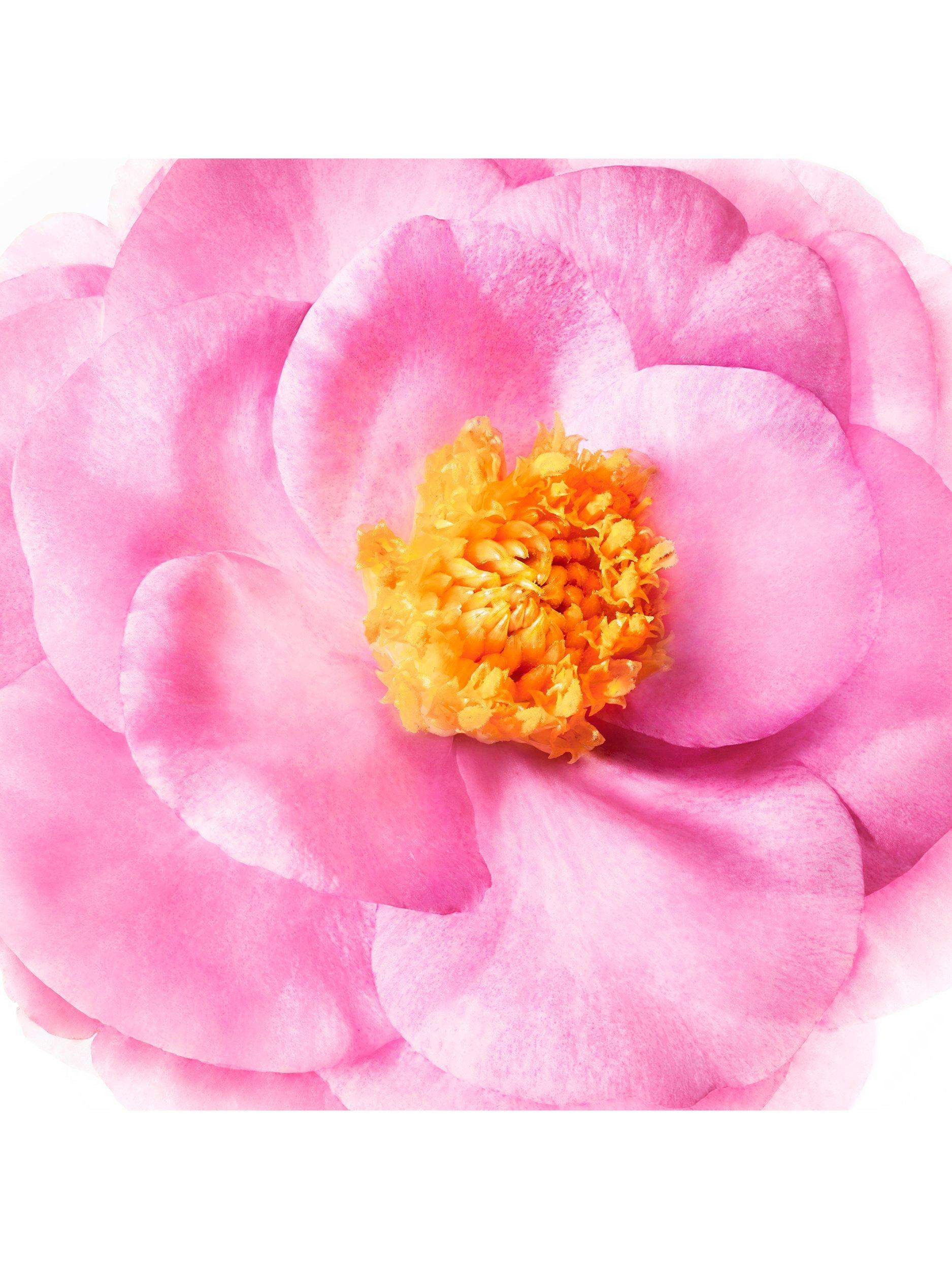 Product image 6 of 6, which shows NUXE Hair Prodigieux® High Shine Shampoo, 200ml