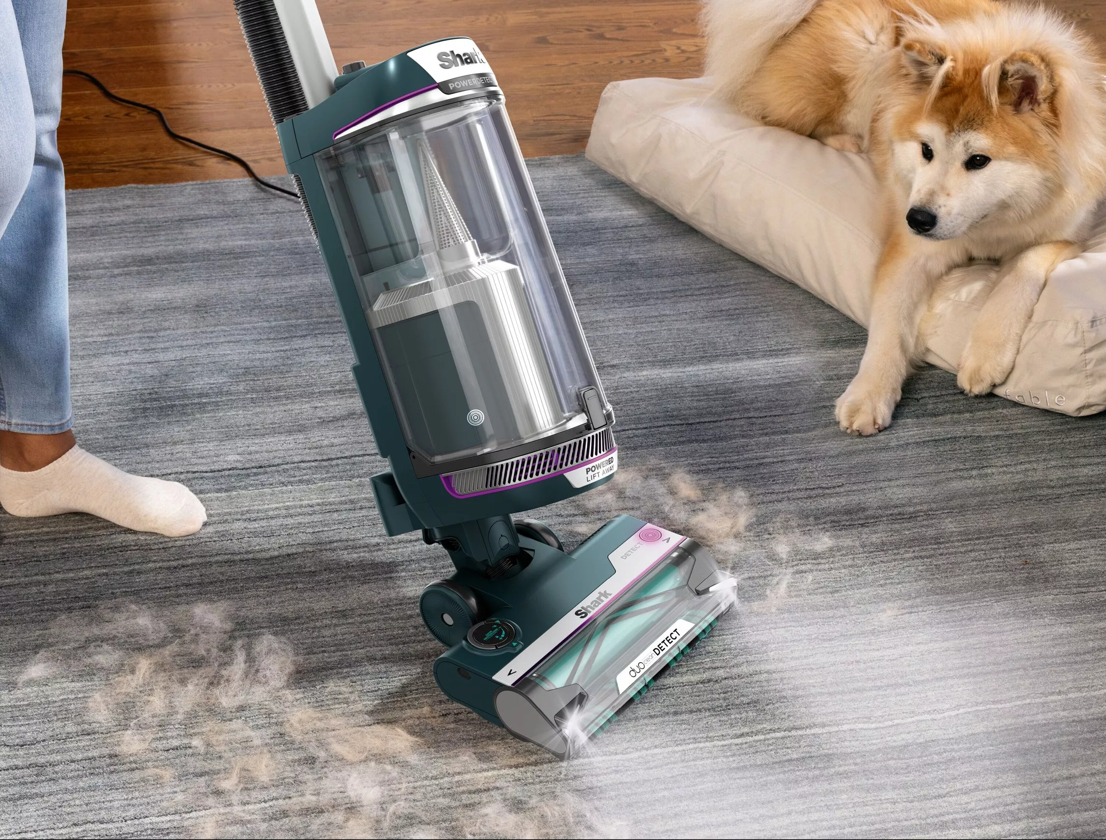 Upright vacuum cleaner removing pet hair from carpet beside fluffy dog on cushion in modern living room