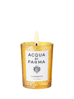 【新品未開封】ACQUA DI PARMA Caminetto キャンドル 112520151?fmt=auto&$background
