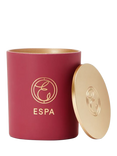 ESPA Winter Spice Candle, 200g