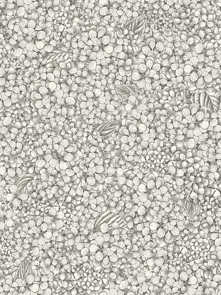 Cole & Son Ortensia Wallpaper, Black & White 123/9043