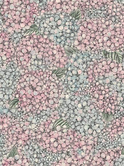 Cole & Son Ortensia Wallpaper, Pink & Blue