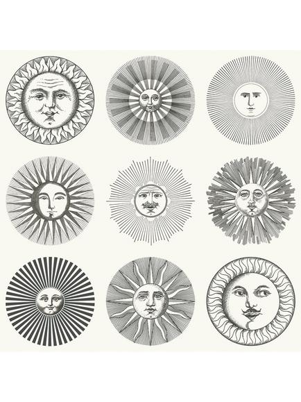 Cole & Son Soli Wallpaper, Black & White 123/1001