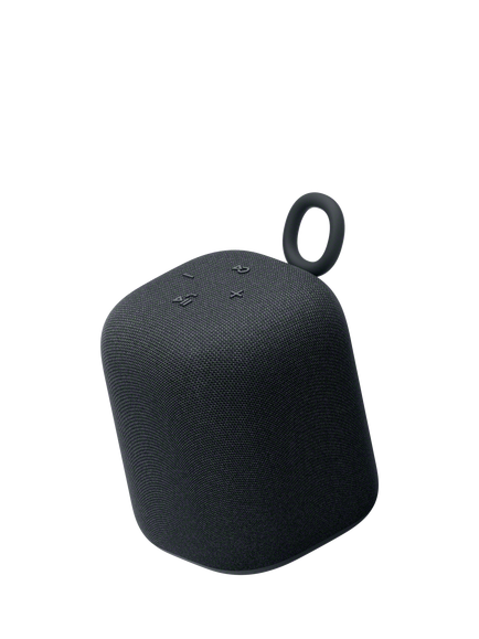 Sony SRS-LS1 LinkBuds Speaker Bluetooth Portable Speaker, Black