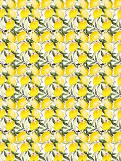 Art File Lemon Wrapping Paper, Yellow, 3m